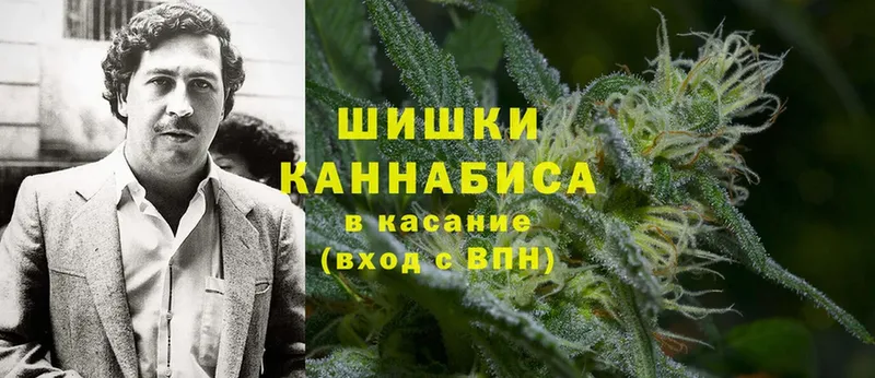 Бошки марихуана SATIVA & INDICA  Лыткарино 